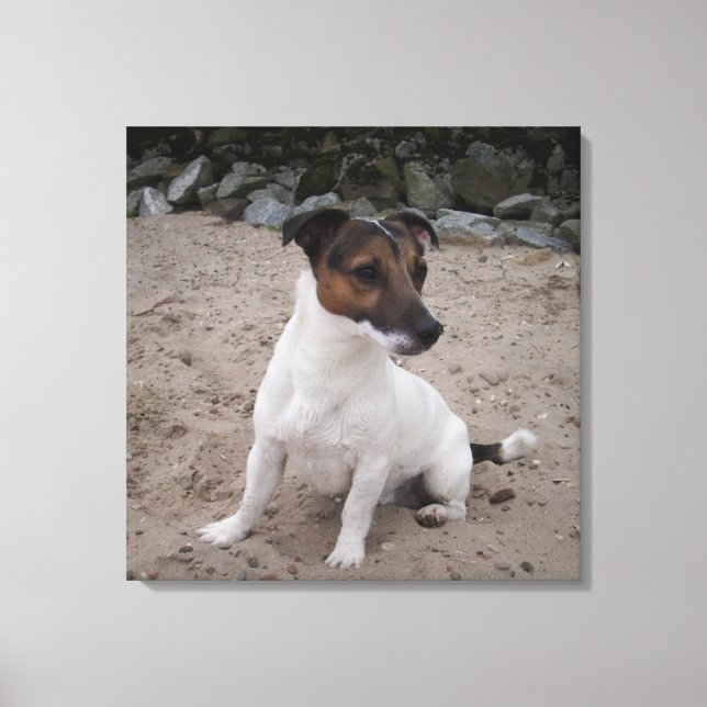Lienzo Capo von Oppenheim, Jack Russell Terrier, Perro (Anverso)