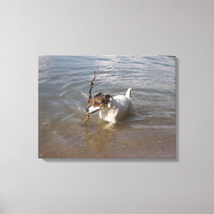 Lienzo Capo von Oppenheim, Jack Russell Terrier, Perro