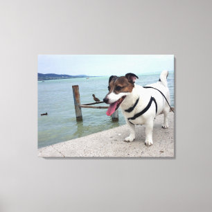 Lienzo Capo von Oppenheim, perro Terrier Jack Russell