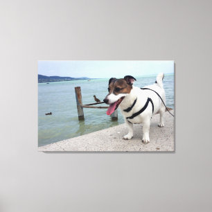 Lienzo Capo von Oppenheim, perro Terrier Jack Russell
