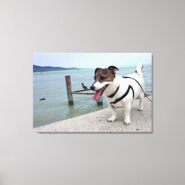Lienzo Capo von Oppenheim, perro Terrier Jack Russell (Anverso)