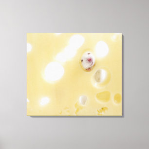 Lienzo Captura de estudio del ratón blanco mirando a trav