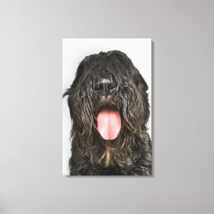 Lienzo Captura de pantalla de estudio