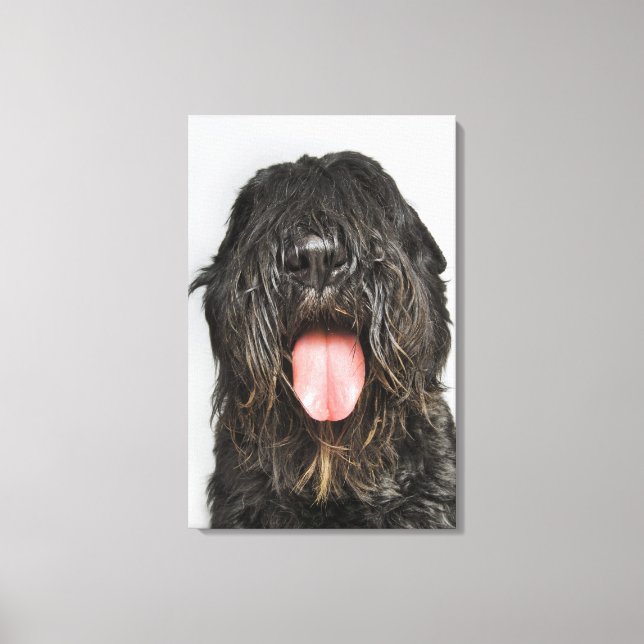 Lienzo Captura de pantalla de estudio (Anverso)