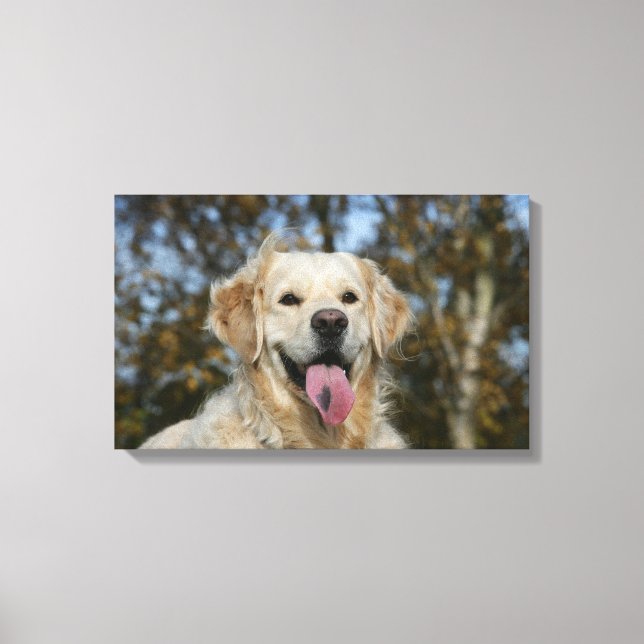 Lienzo Captura de pantalla de Golden Retriever 3 (Anverso)