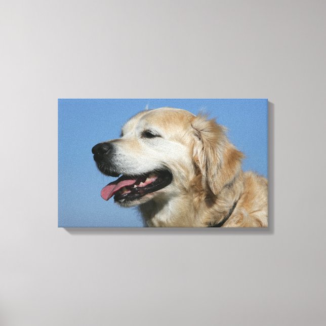 Lienzo Captura de pantalla de Golden Retriever 4 (Anverso)