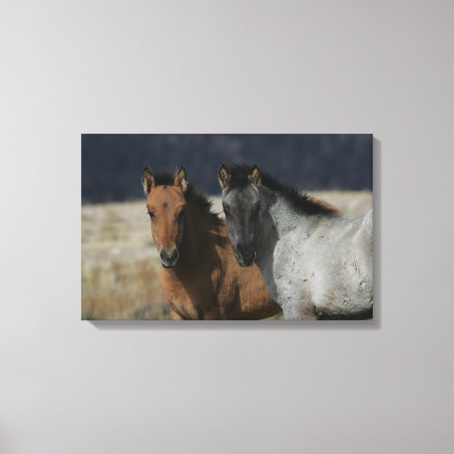 Lienzo Captura de pantalla de Mustang Foal (Anverso)