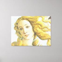 Lienzo Cara de Venus