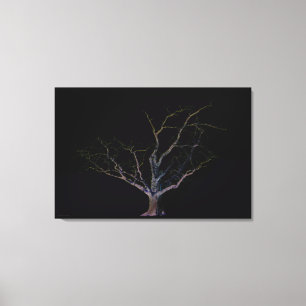 Lienzo Cara oscura 2 36x24 (90x60cm)