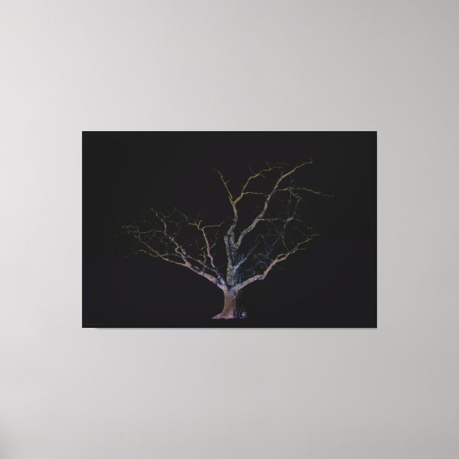 Lienzo Cara oscura 2 60x40 (150x100cm) (Anverso)