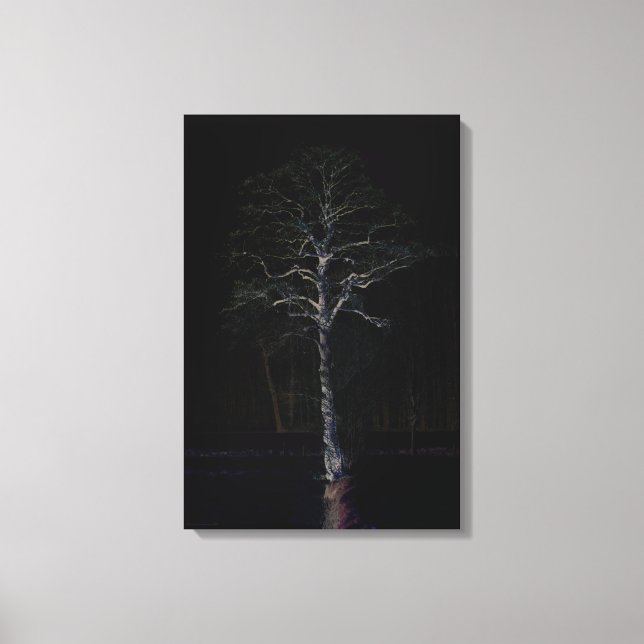 Lienzo Cara oscura 3 16x24 (40x60cm) (Anverso)