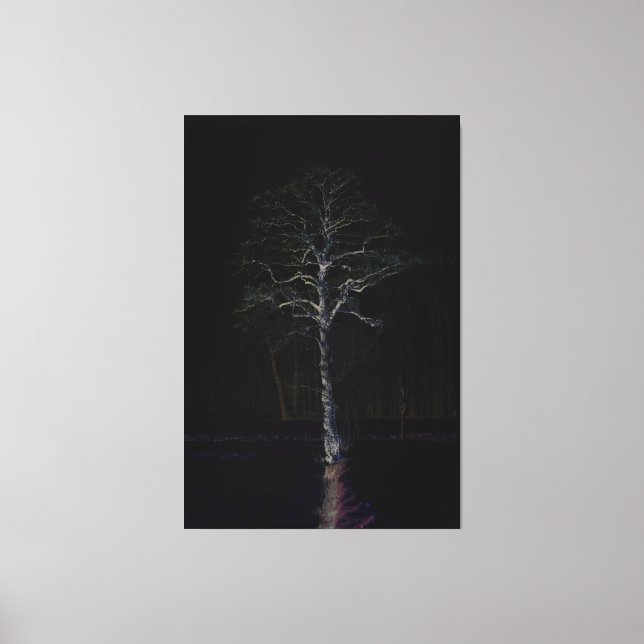 Lienzo Cara oscura 3 40x60 (100x150cm) (Anverso)