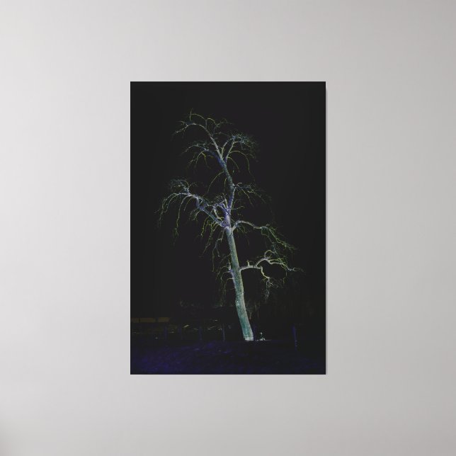 Lienzo Cara oscura 8 40x60 (100x150cm) (Anverso)