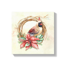 Cardenal de invierno con Poinsettia