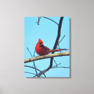 Lienzo Cardenal del Norte con cielo de verano