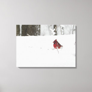 Lienzo Cardenal en la nieve