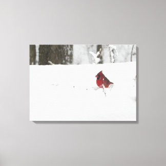 Lienzo Cardenal en la nieve
