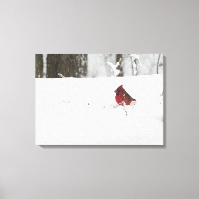Lienzo Cardenal en la nieve (Anverso)