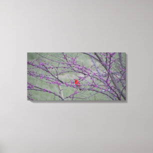 Lienzo Cardenal rojo en árbol rojo del este del brote
