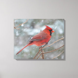 Lienzo Cardenal rojo en invierno