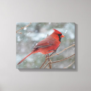 Lienzo Cardenal rojo en invierno