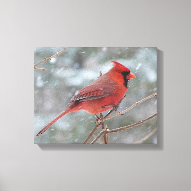 Lienzo Cardenal rojo en invierno (Anverso)