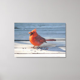 Lienzo Cardenal rojo en puente de madera