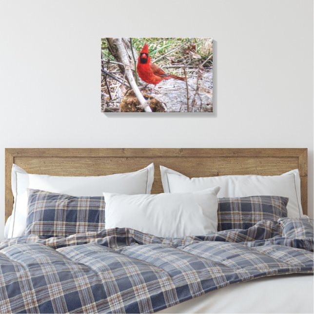 Lienzo Cardenal Vibrante (Insitu(Dormitorio))