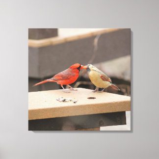 Lienzo Cardenales de besos