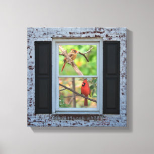 Lienzo Cardenales de sexo masculino y de sexo femenino en