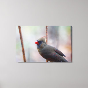 Lienzo Cardinal Bird