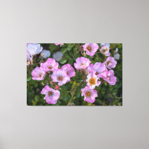 Lienzo Carefree Delight