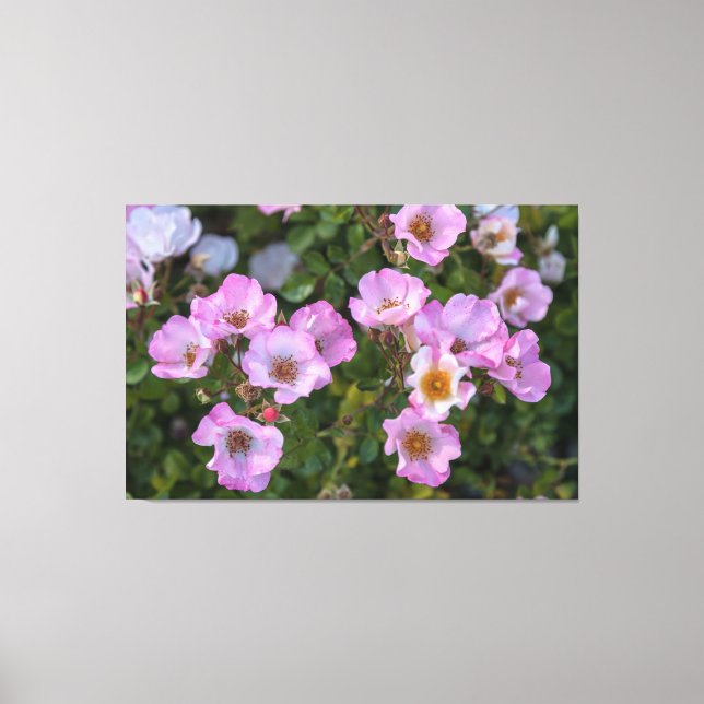 Lienzo Carefree Delight (Anverso)