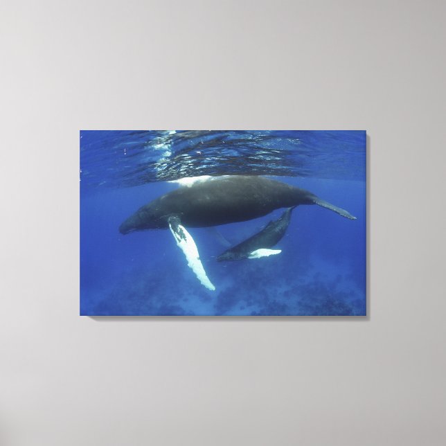 Lienzo Caribe, archipiélago de las Antillas Mayores, (Anverso)