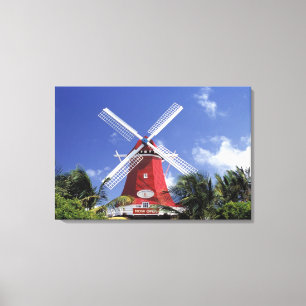 Lienzo Caribe, Aruba. Molino antiguo convertido en molino