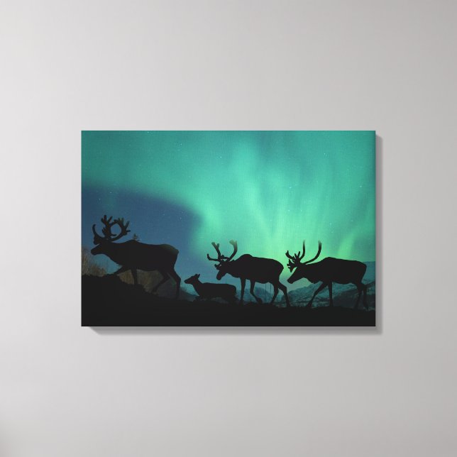 Lienzo Caribú y luces del norte (Anverso)