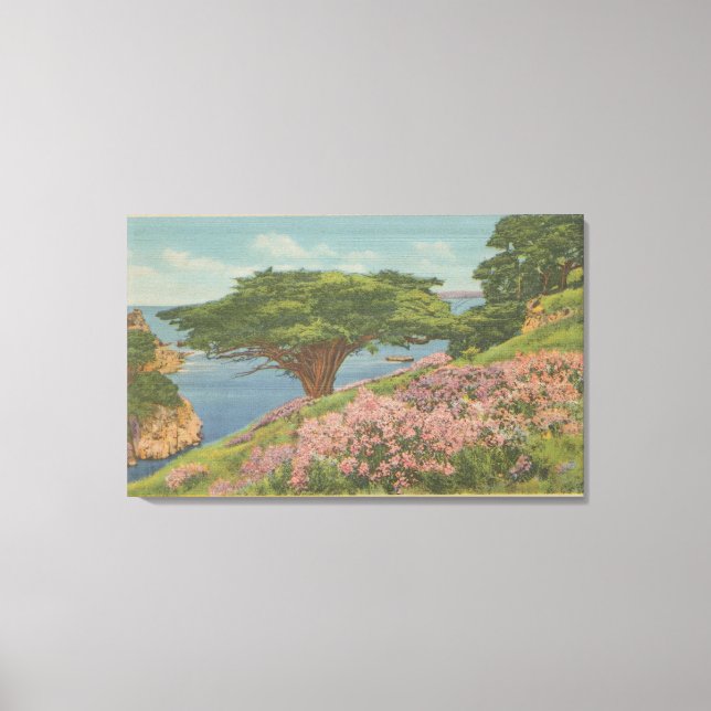 Lienzo Carmel Bay, CA - Vista del árbol del "veterano ant (Anverso)