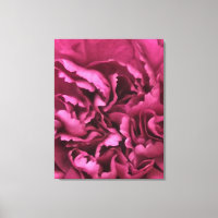 Carnación rosa