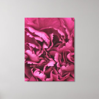 Lienzo Carnación rosa