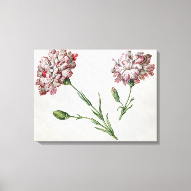 Lienzo Carnations (p/c sobre papel) (Anverso)