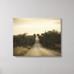 Lienzo Carretera de campo