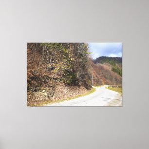 Lienzo Carretera del Bosque de Montaña - Naturaleza Salva