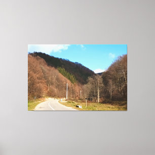 Lienzo Carretera sinuosa a través del bosque: naturaleza