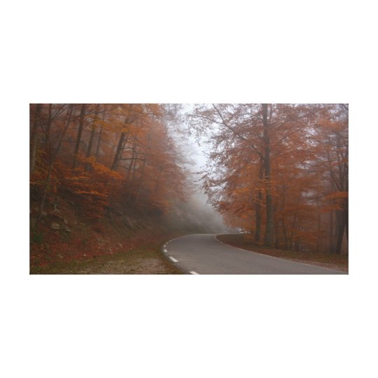 Lienzo Carretera solitaria en bosque otoñal