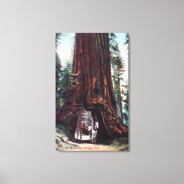 Lienzo Carriles viajando bajo una secuoya gigante (Anverso)