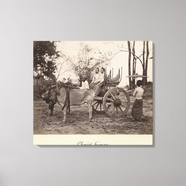 Lienzo Carro tirado por dos bueyes en Mandalay, Birmania (Anverso)