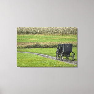 Lienzo Carruaje Amish en camino de granja, Ohio Nororient