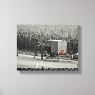 Lienzo Carruaje Amish monocromo