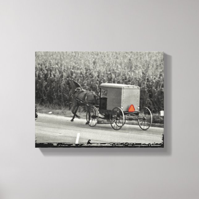 Lienzo Carruaje Amish monocromo (Anverso)
