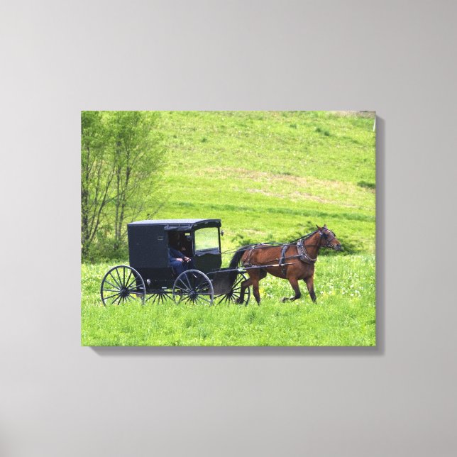Lienzo Carruaje y caballo Amish cerca de Berlín, Ohio. (Anverso)